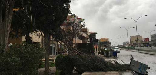 Reşebaya Duhî zîyanek mezin gehand hevwelatîyan.